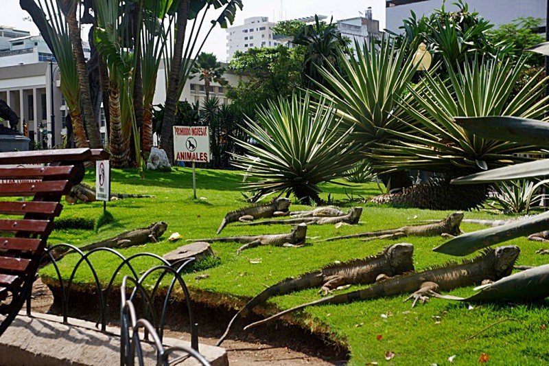 downtown Parque de las Iguanas guayaquil ecuador